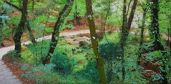 Camino 2